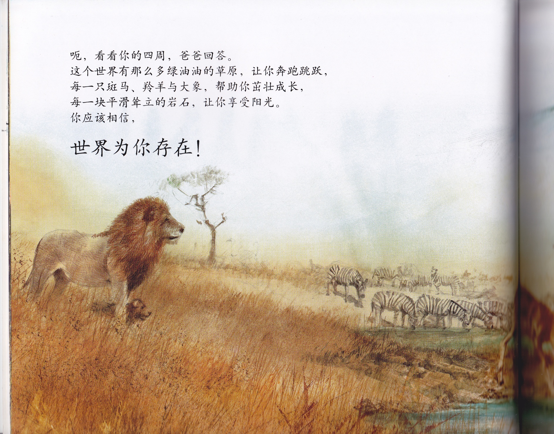 世界为谁存在 (08),绘本,绘本故事,绘本阅读,故事书,童书,图画书,课外阅读